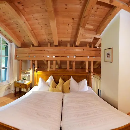 多米奇尔齐勒塔尔酒店 * 迈尔霍芬